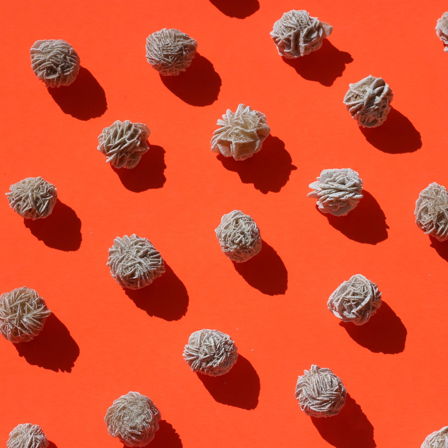 Desert Rose Selenite - Selenite - Emit Energy