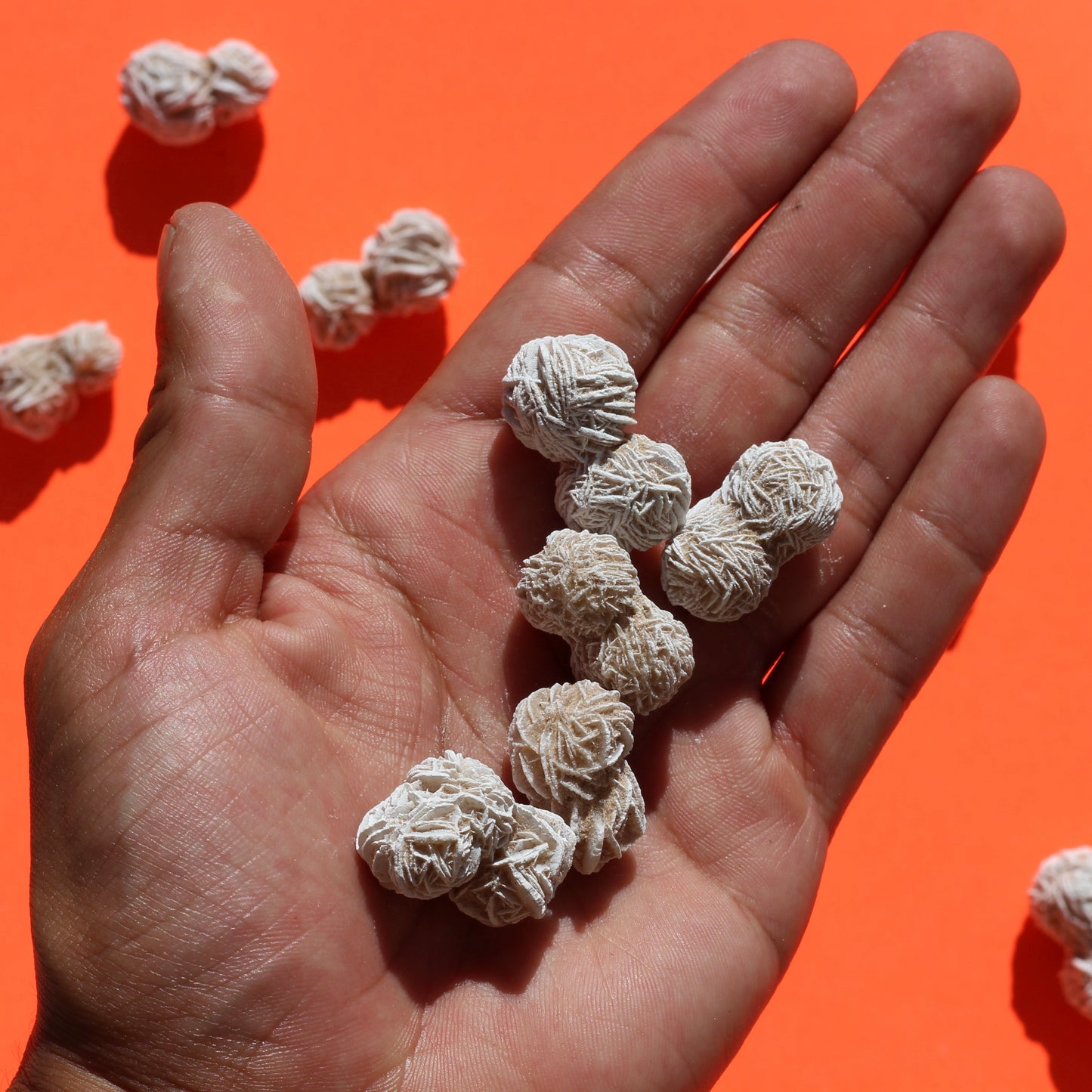 Desert Rose Selenite - Small - Double - Selenite - Emit Energy