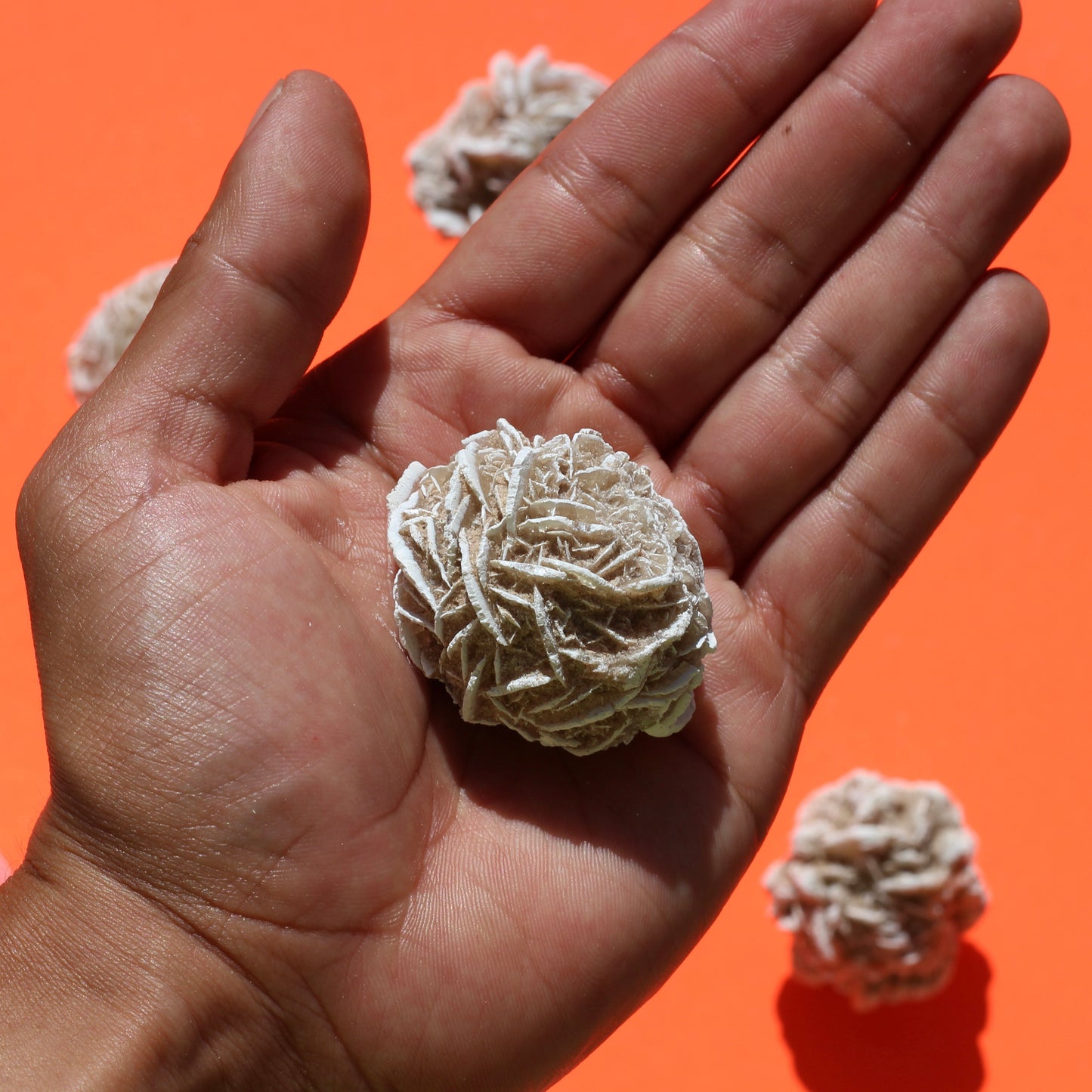 Desert Rose Selenite - Large - Single - Selenite - Emit Energy
