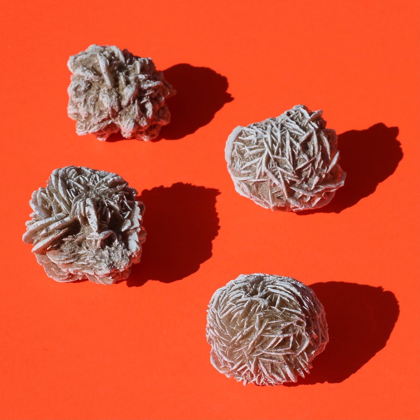 Desert Rose Selenite - Selenite - Emit Energy