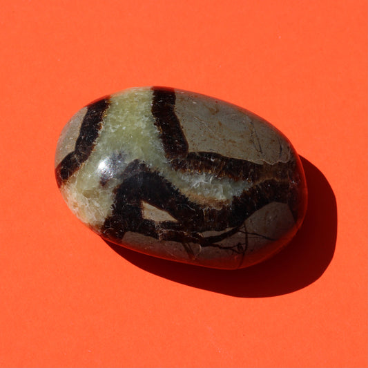 Septarian Jasper Palm Stone (No.1) - Emit Energy