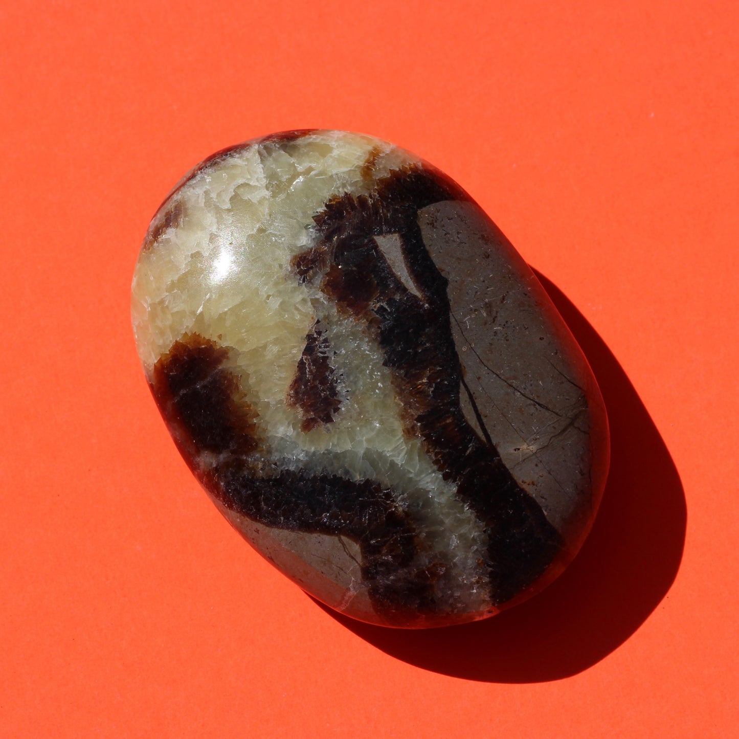 Septarian Jasper Palm Stone (No.1) - Emit Energy