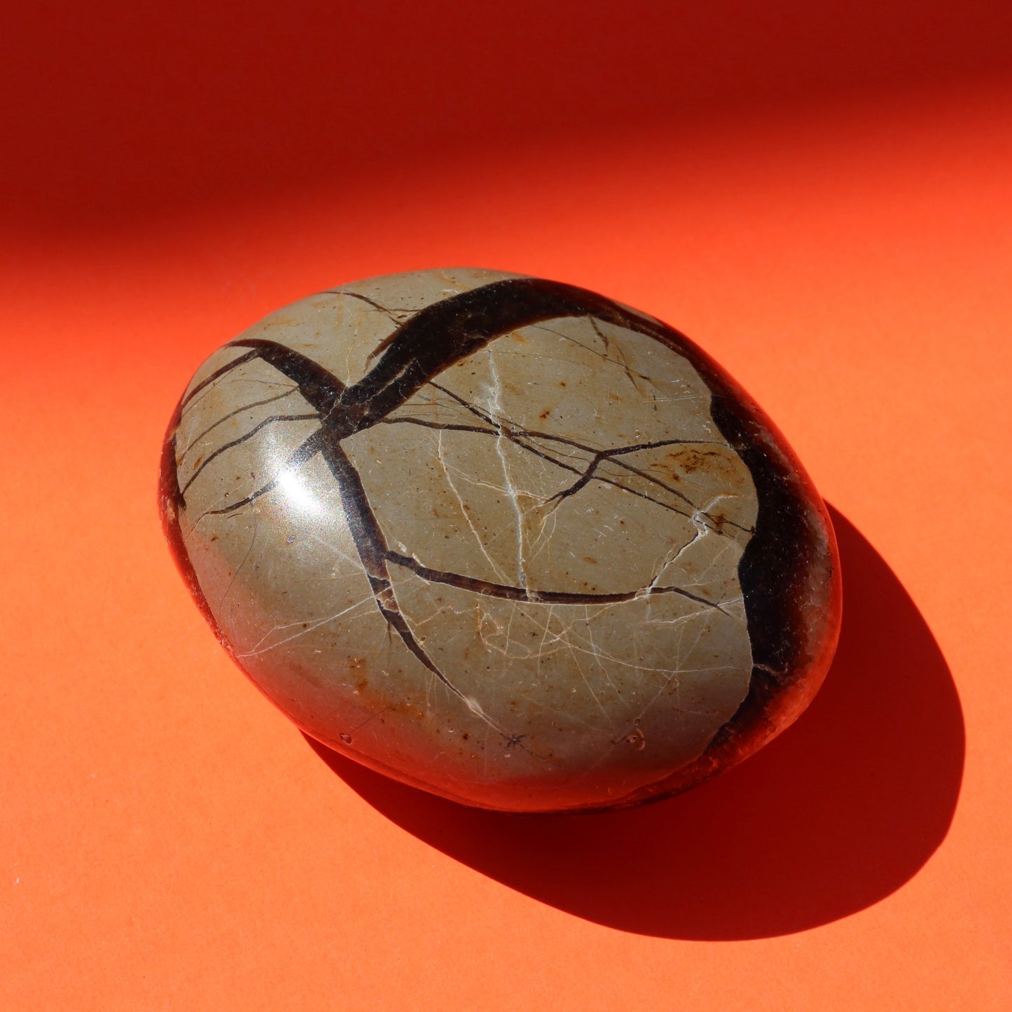 Septarian Jasper Palm Stone (No.3) - Emit Energy