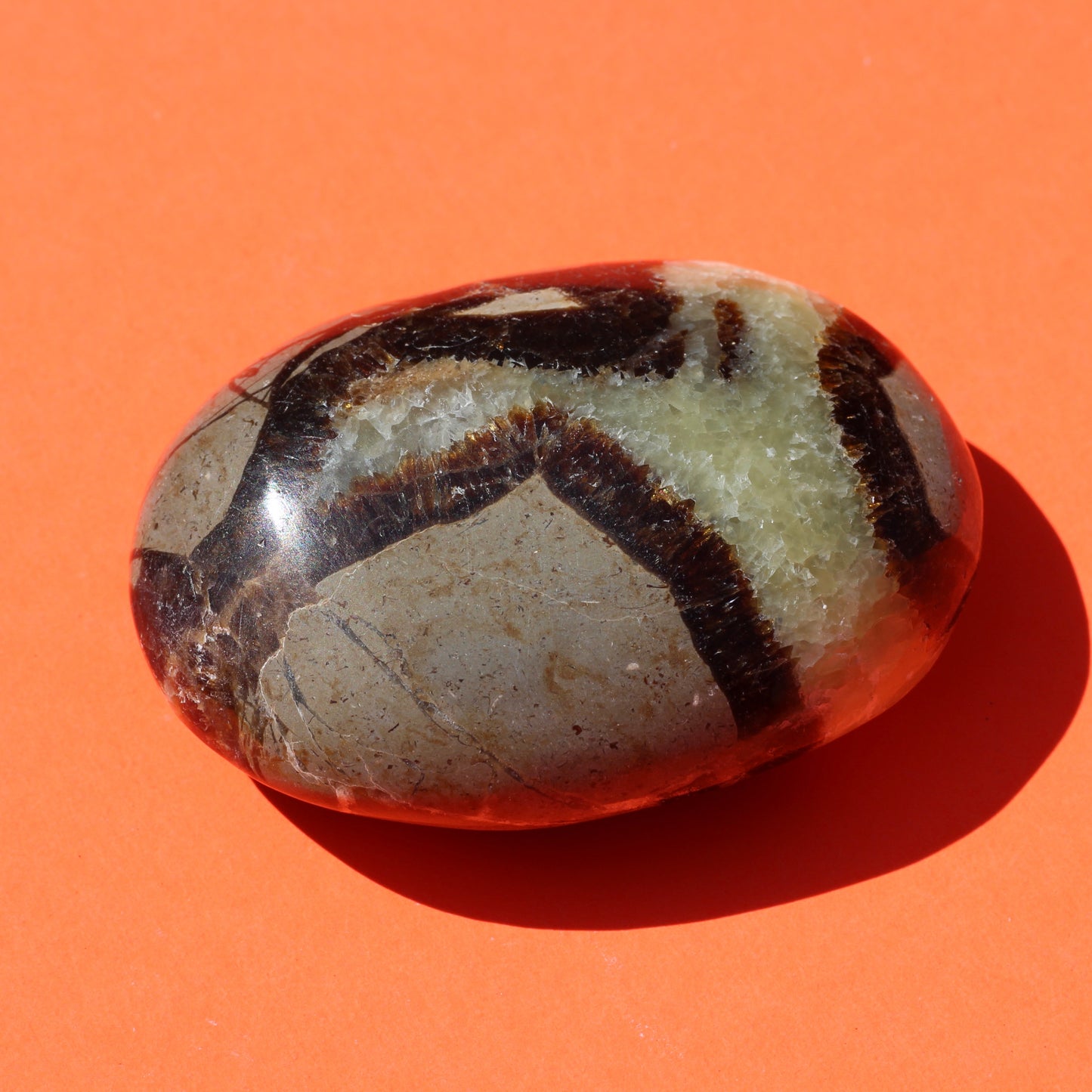 Septarian Jasper Palm Stone (No.1) - Emit Energy