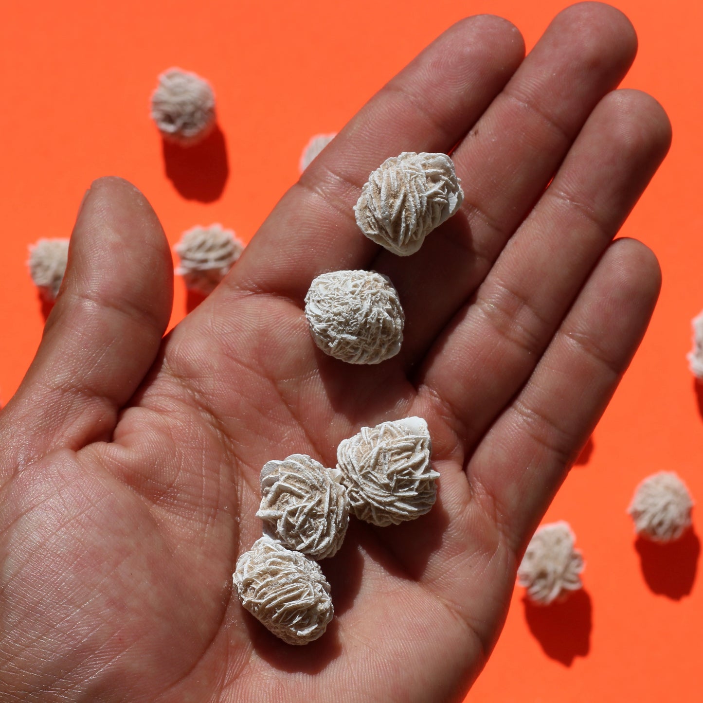 Desert Rose Selenite - Small - Single - Selenite - Emit Energy