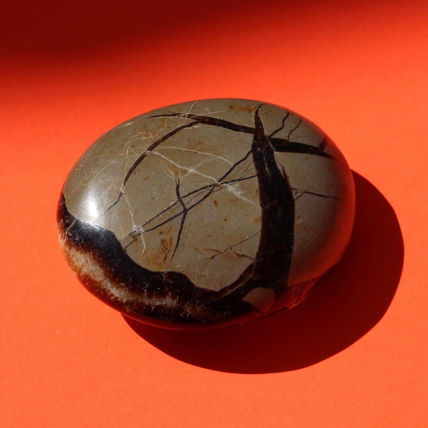 Septarian Jasper Palm Stone (No.3) - Emit Energy