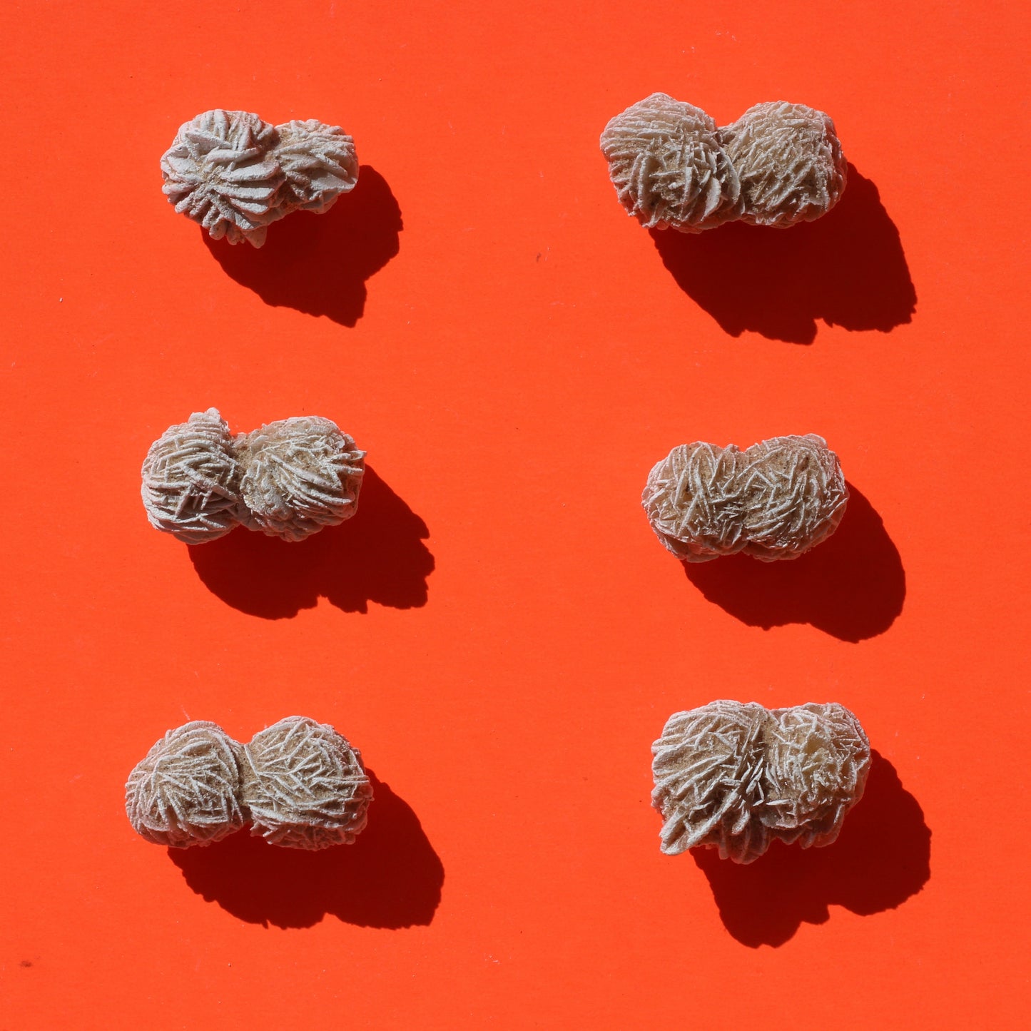 Desert Rose Selenite - Selenite - Emit Energy