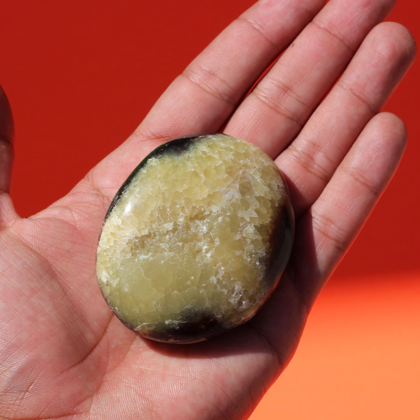 Septarian Jasper Palm Stone (No.3) - Emit Energy