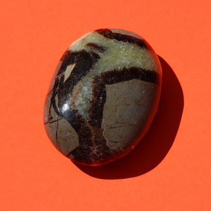 Septarian Jasper Palm Stone (No.1) - Emit Energy