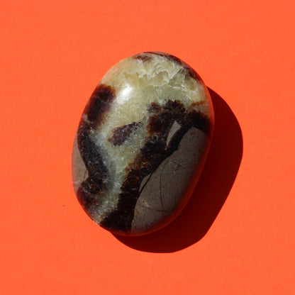 Septarian Jasper Palm Stone (No.1) - Emit Energy