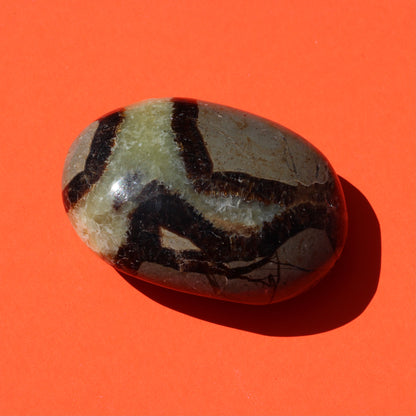 Septarian Jasper Palm Stone (No.1) - Emit Energy
