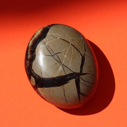Septarian Jasper Palm Stone (No.3) - Emit Energy