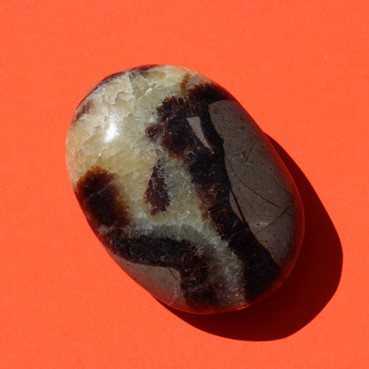 Septarian Jasper Palm Stone (No.1) - Emit Energy