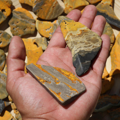 Bumblebee Jasper (Raw Chips) - Large - Emit Energy