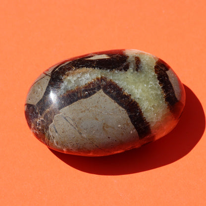 Septarian Jasper Palm Stone (No.1) - Emit Energy