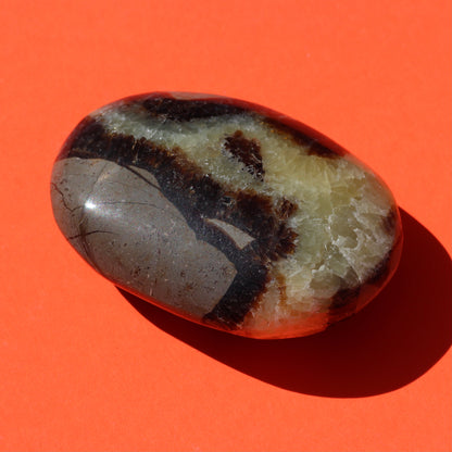Septarian Jasper Palm Stone (No.1) - Emit Energy