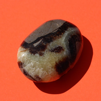Septarian Jasper Palm Stone (No.1) - Emit Energy